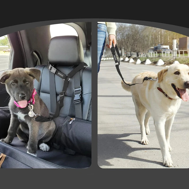 Coleira Pet para Carro
